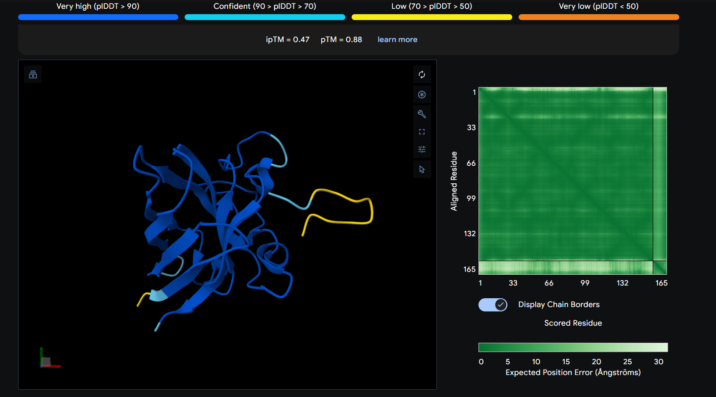 AlphaFold Prediction of Peptide 4