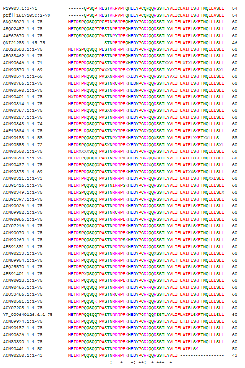 Clustal Omega Multiple Sequence Alignment (MSA) Output for the MS2 L Protein Part 1