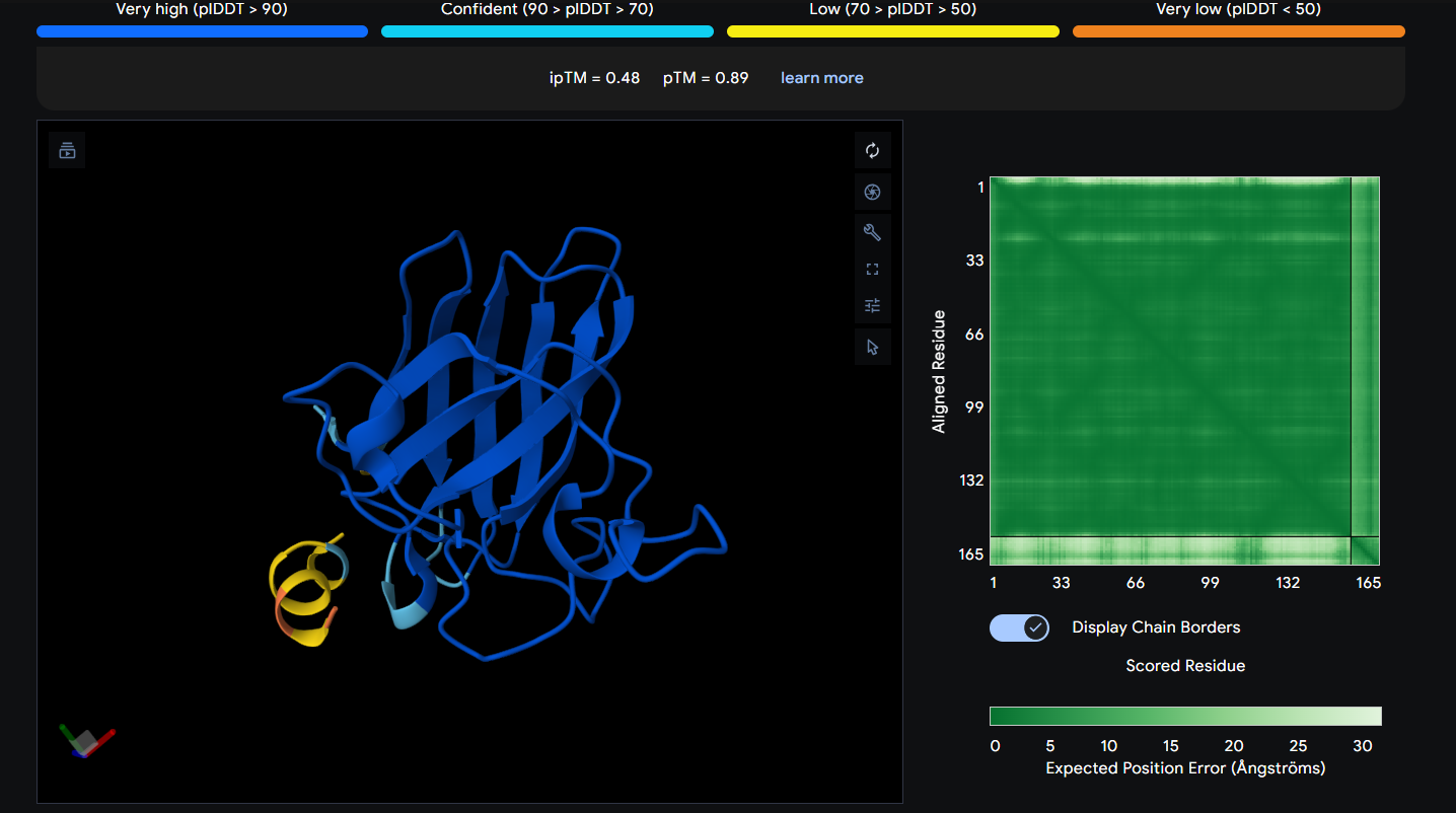 AlphaFold Prediction of Peptide 6