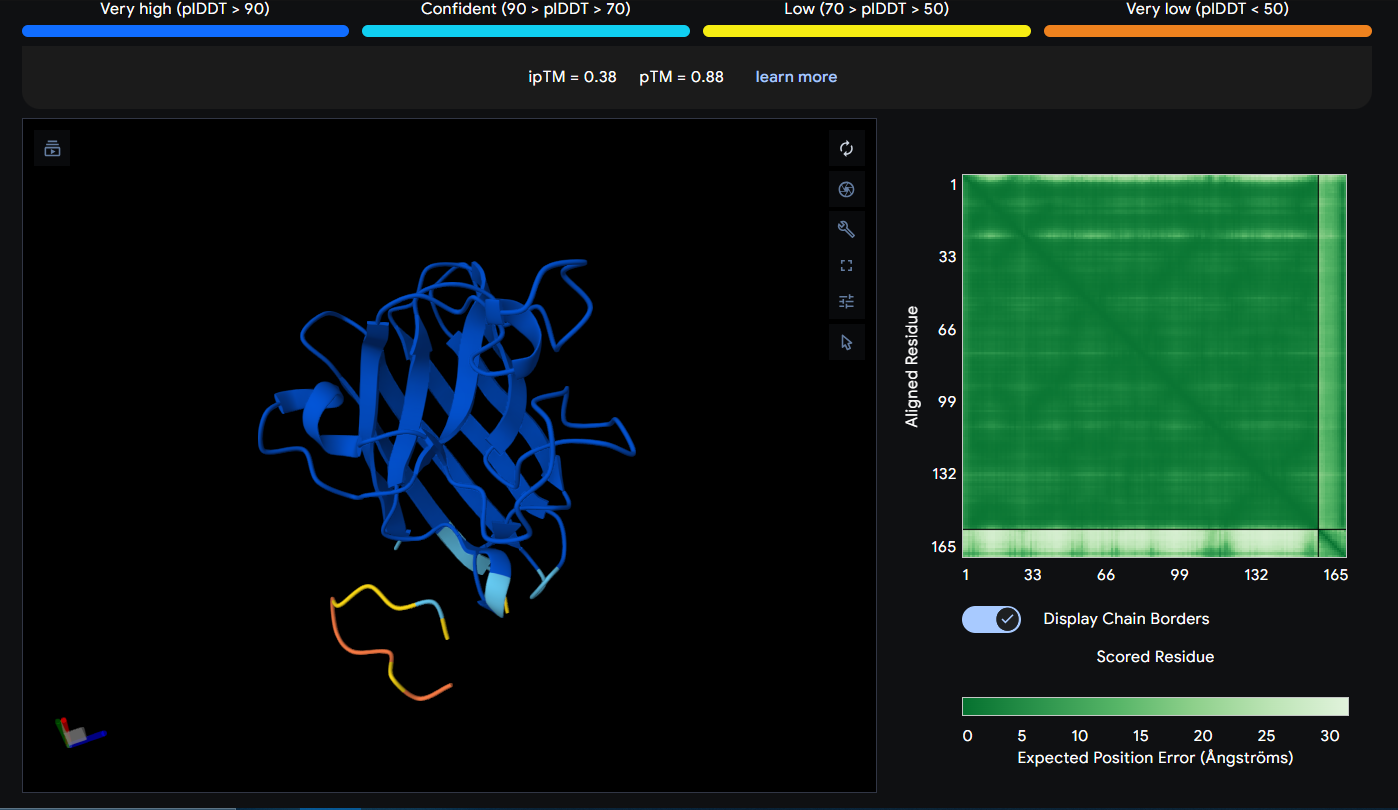 AlphaFold Prediction of Peptide 7