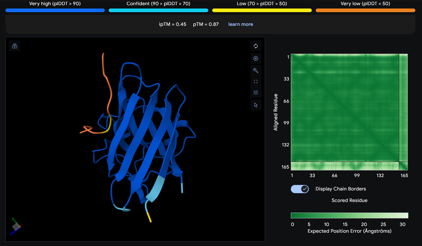 AlphaFold Prediction of Peptide 8