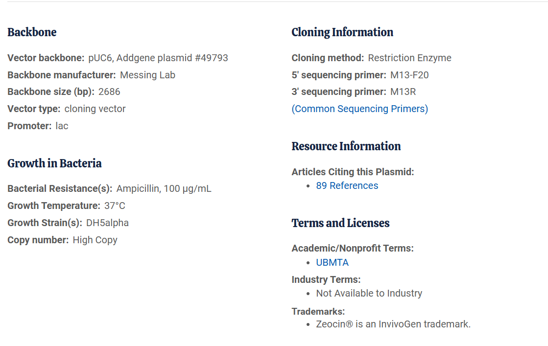 pUC19 Addgene Properties