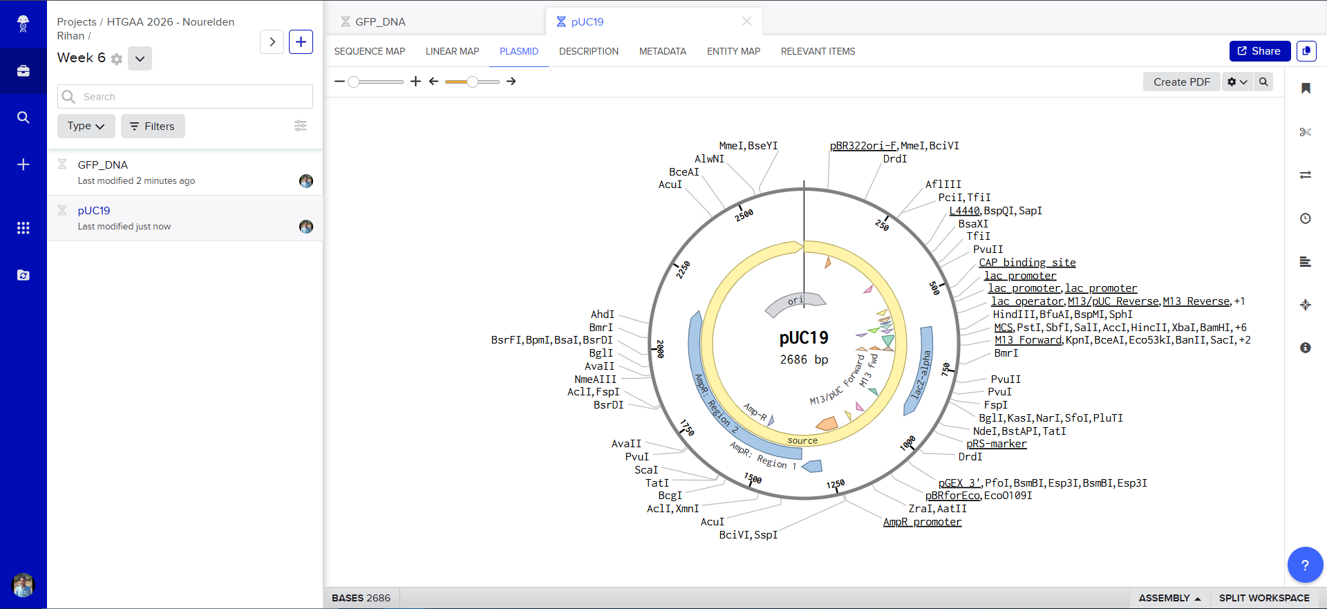 Plasmid Annotations on Benchling