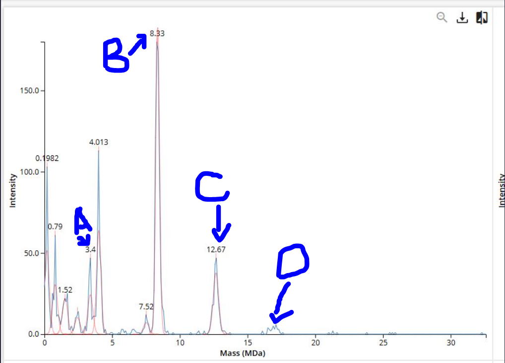 Graph of the KHL Oligomeric Speices