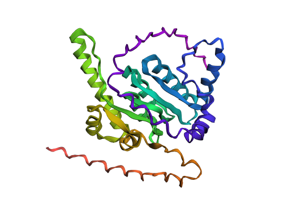 Image refold after mutations 