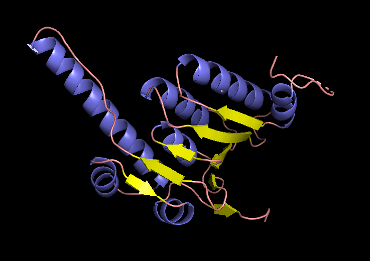 EM structure of the subunit visualized with Pymol