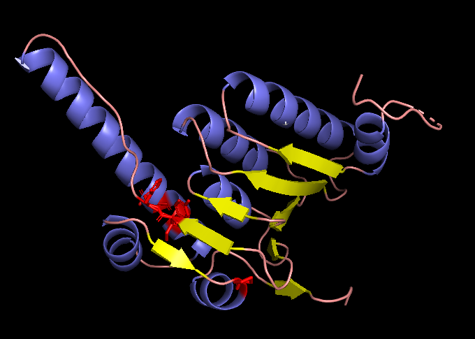 pymol_preview of the mutated locations 