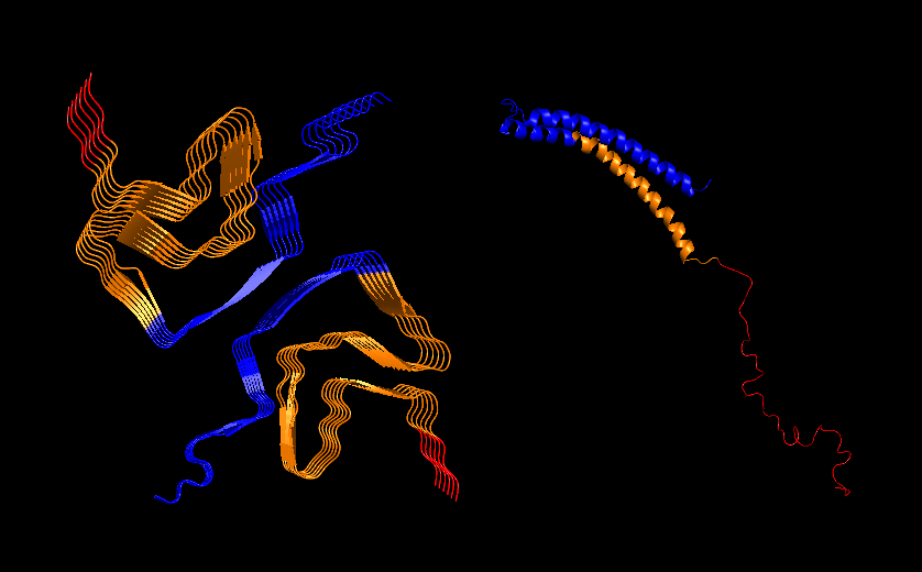 Cartoon visualization of an aggregate (6A6B) and an SNCA monomer (1XQ8) structures, domains