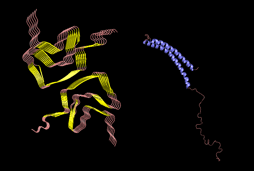 Cartoon visualization of an aggregate (6A6B) and an SNCA monomer (1XQ8) structures