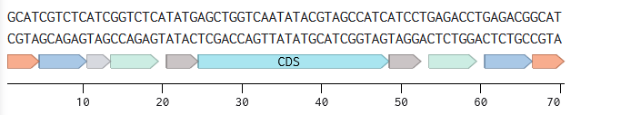 cds_linear