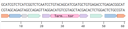 terminator_linear