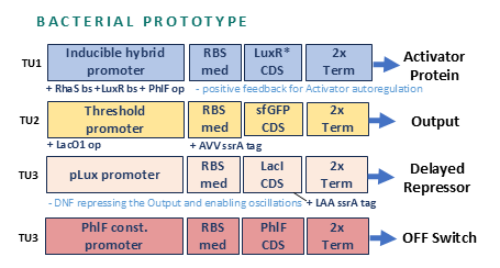bacterial_prototype