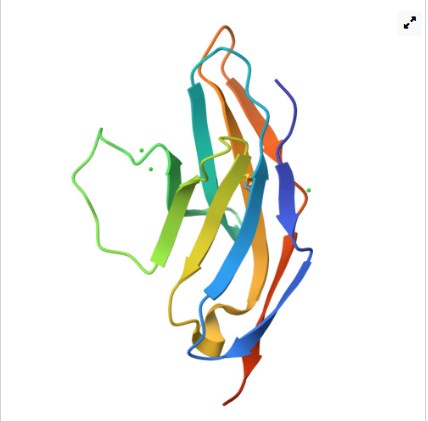 openimage