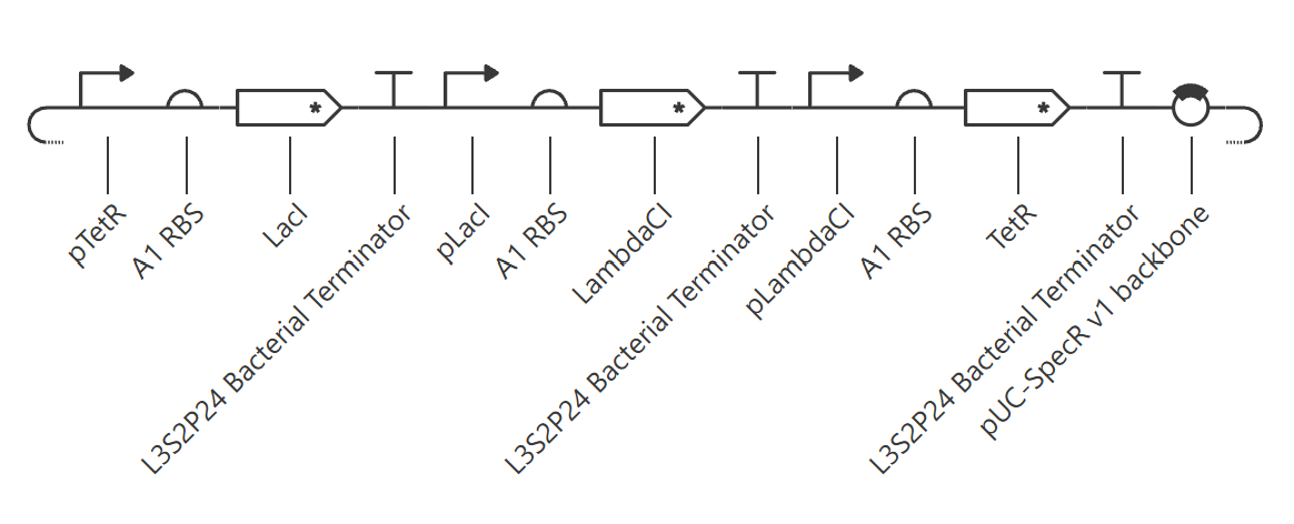 repressilator