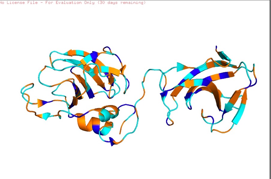 Figure C6. Experimental structure (PyMOL, 4LXC)