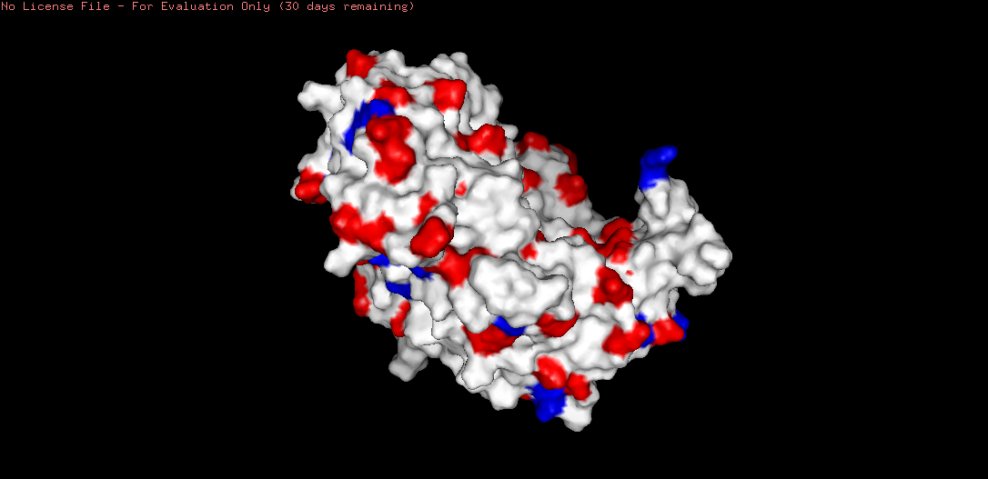 PyMOL molecular surface