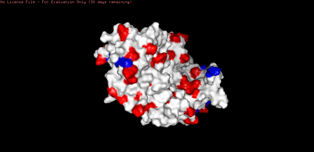 PyMOL binding pocket with catalytic triad