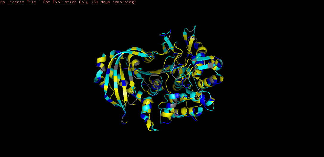 PyMOL residue type coloring