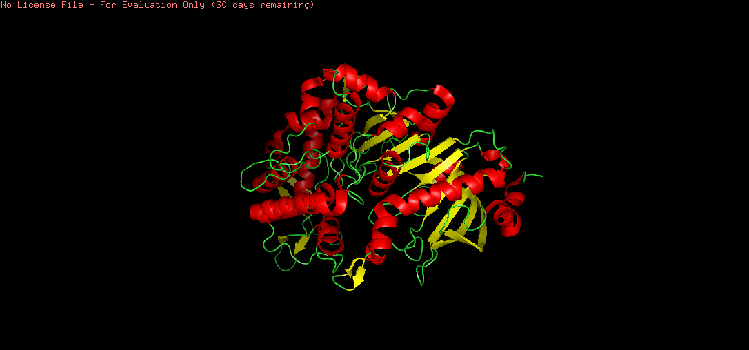 PyMOL secondary structure coloring