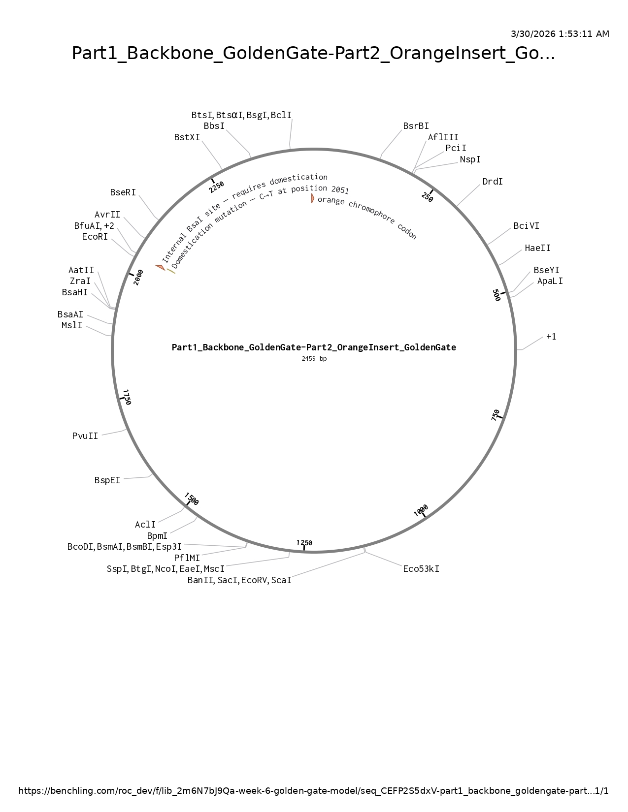 Figure: Assembled circular plasmid map (2,459 bp) showing the orange chromophore codon annotation, the domestication mutation annotation, and the absence of BsaI sites in the restriction enzyme map. The construct combines Part 1 (mUAV backbone) and Part 2 (orange insert) at the ATCA and ACAG junctions.