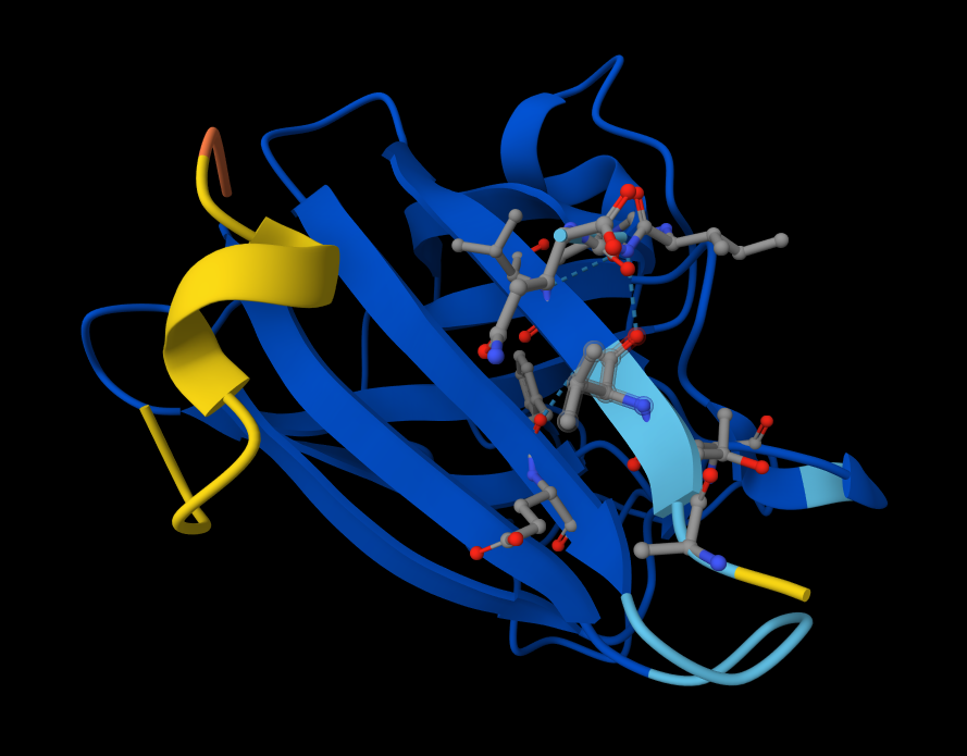 Peptide 2: WSYGVVALALGK