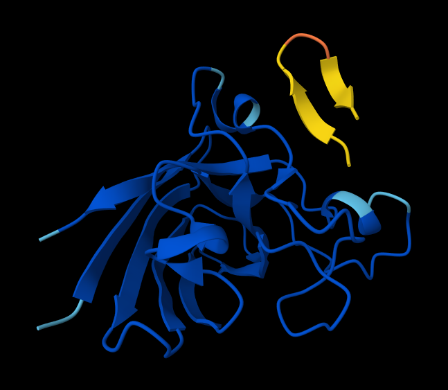 Peptide 3: WRYPVAGLGWAE