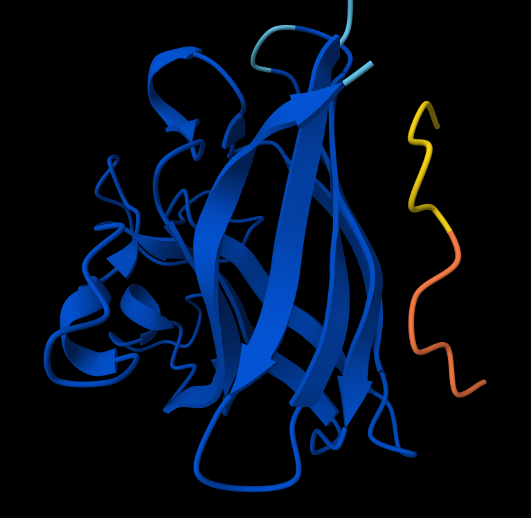 Peptide 4: WRSPAAAAGHGK
