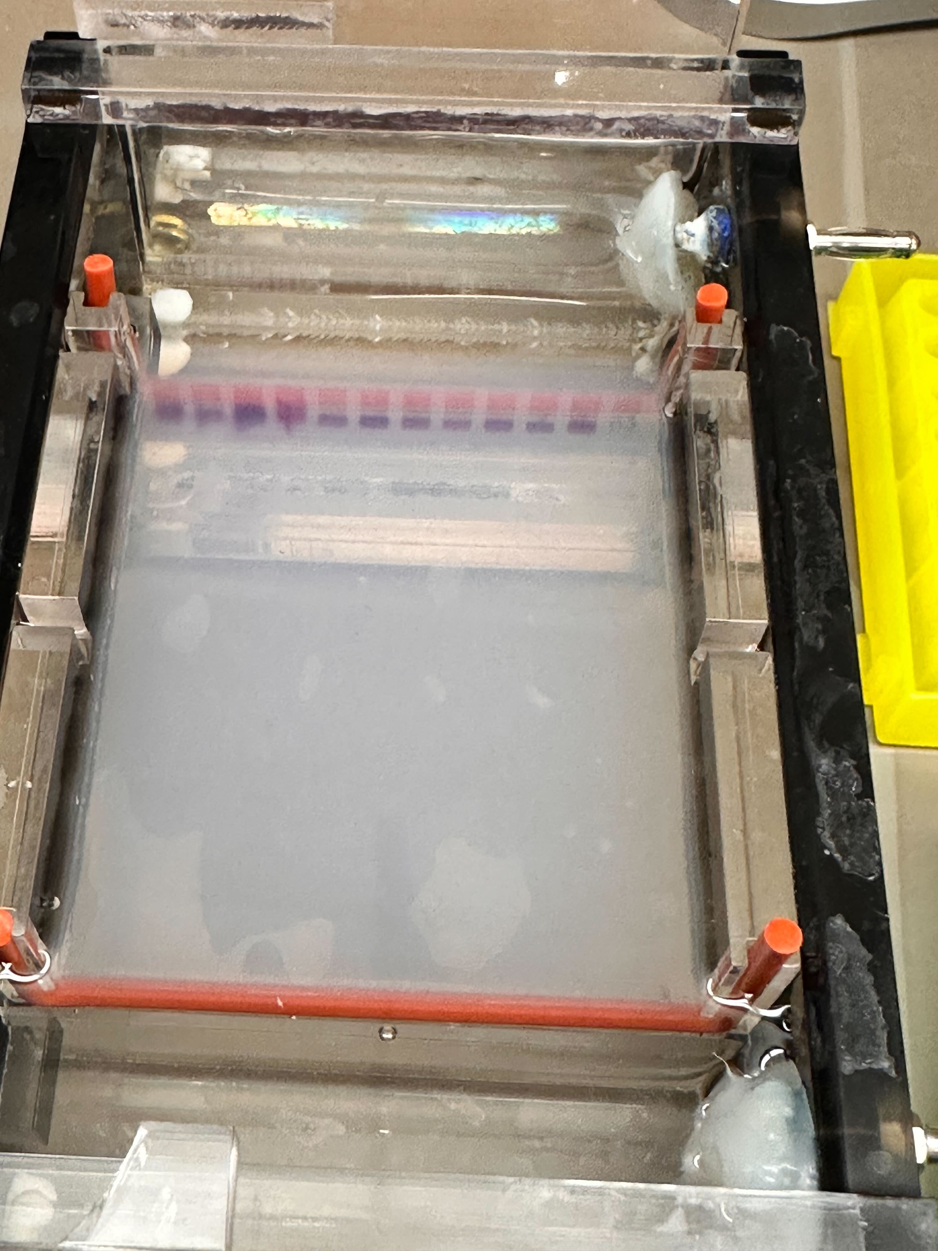 Gel Setup in Chamber