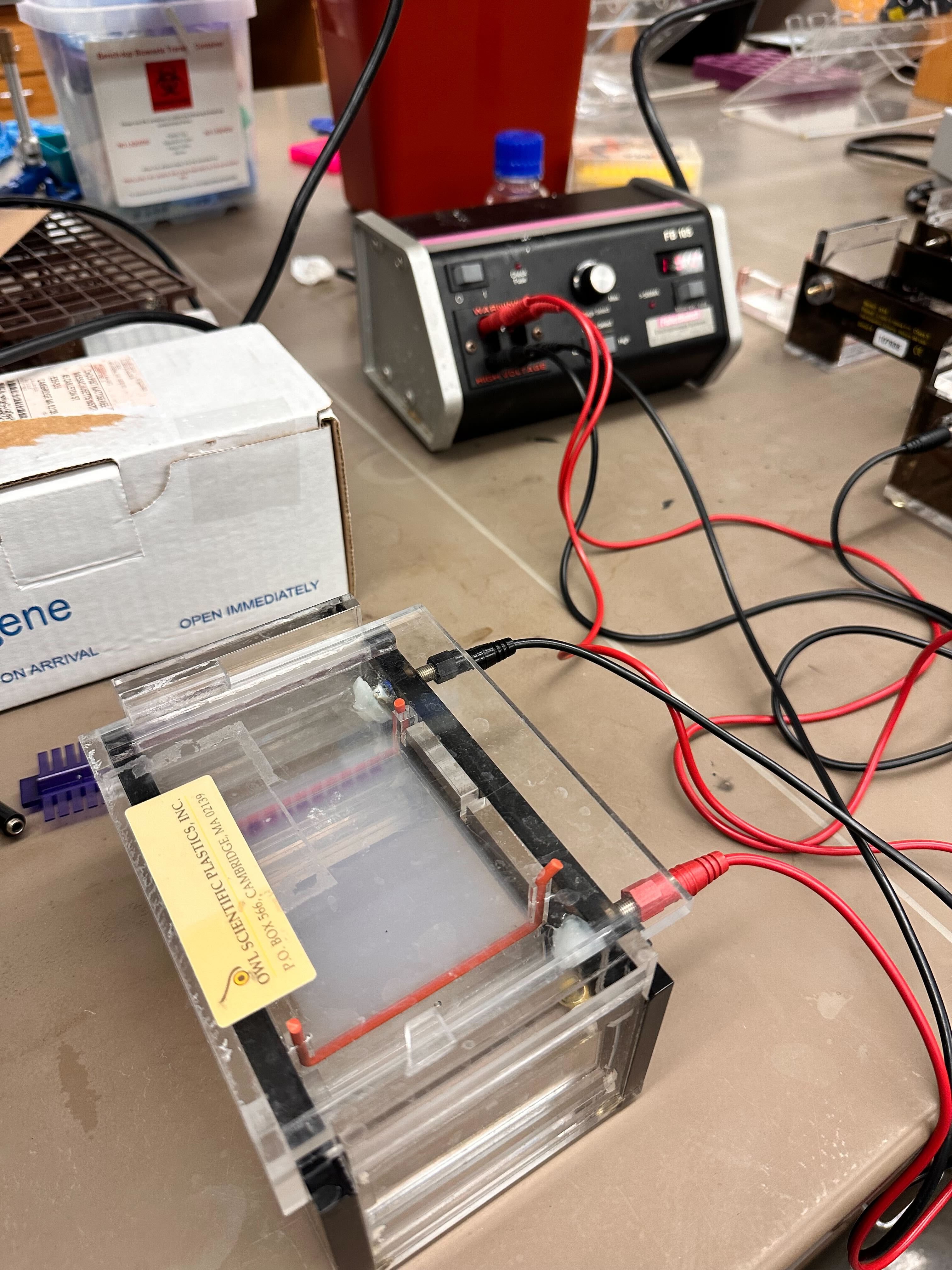 Electrodes Connected