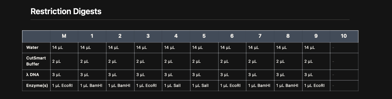 Restriction Digest Table