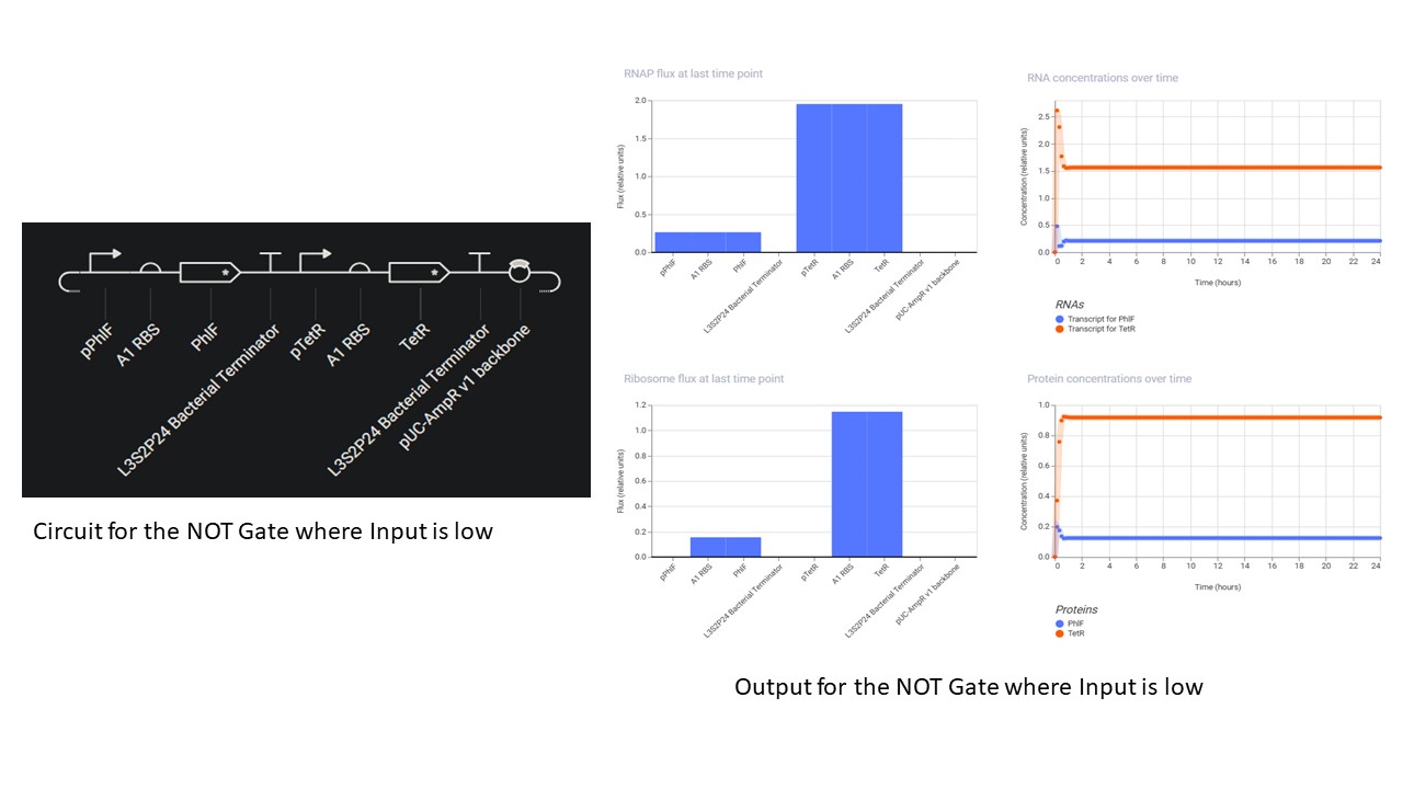 Input Low
