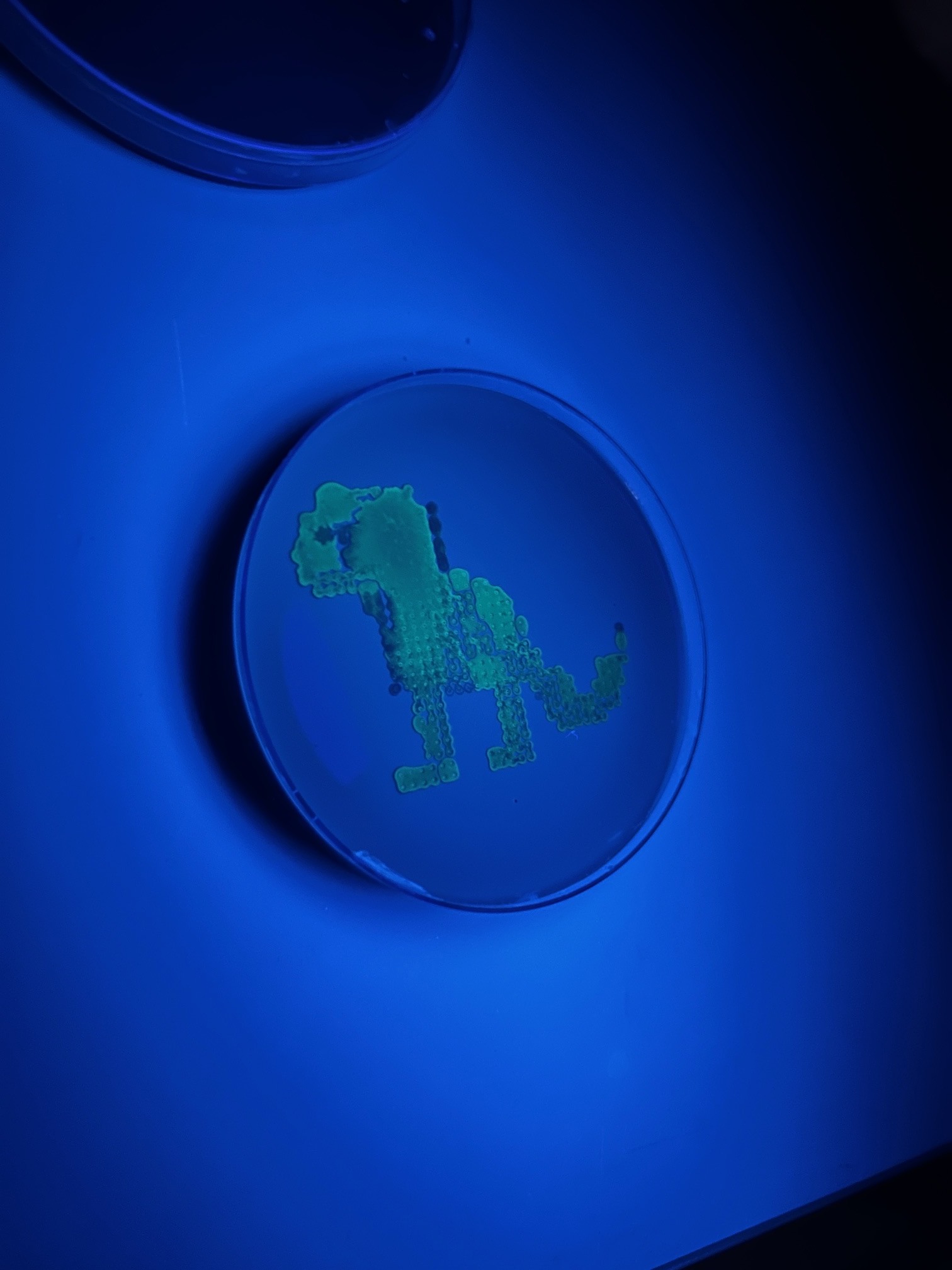 result image