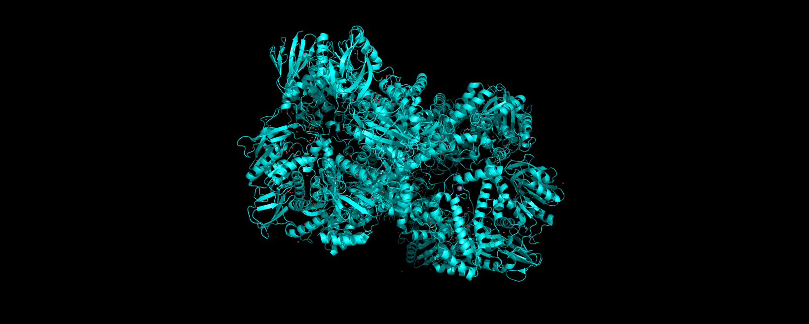 ribbon