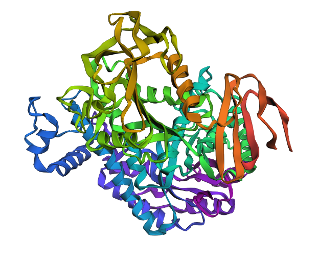 predicted structure