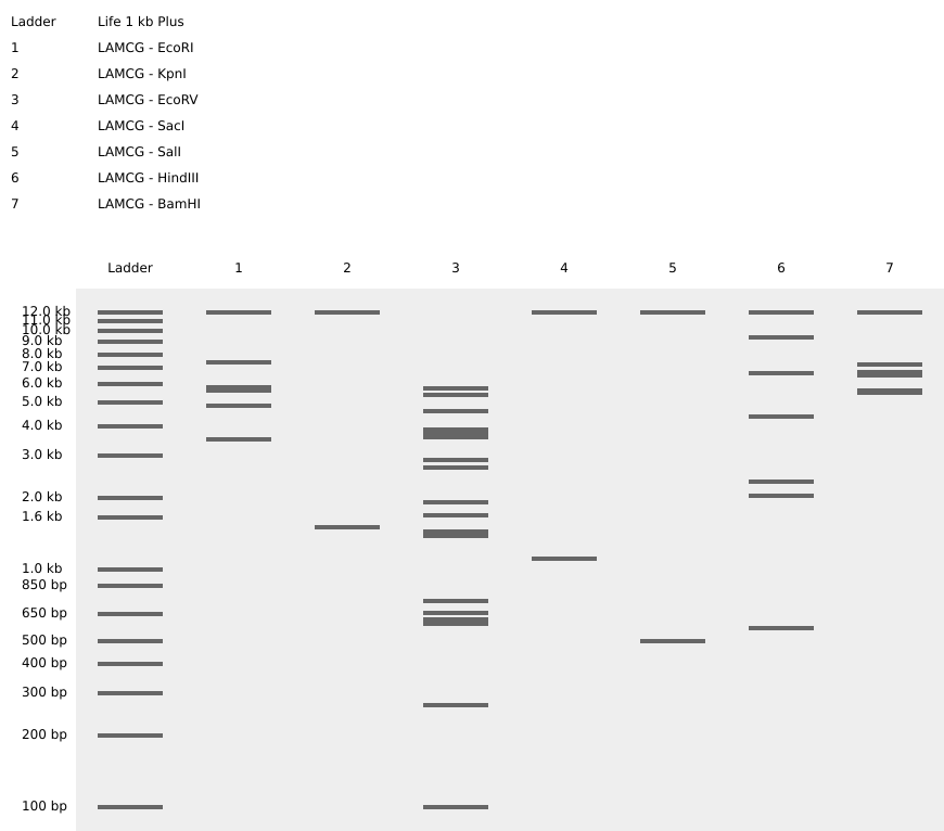 Compound digestion results