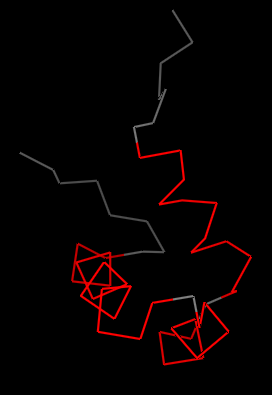 Ribbon