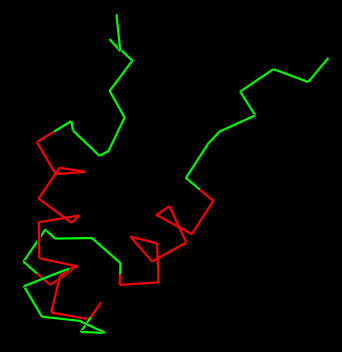 Ribbon