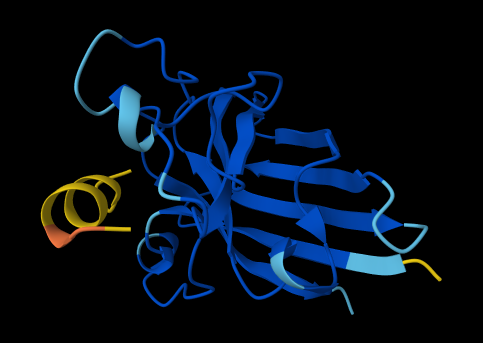 WHYPAVAAAWKE Binding