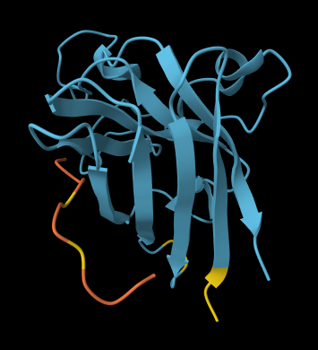 WRSYVAALAHWK Binding