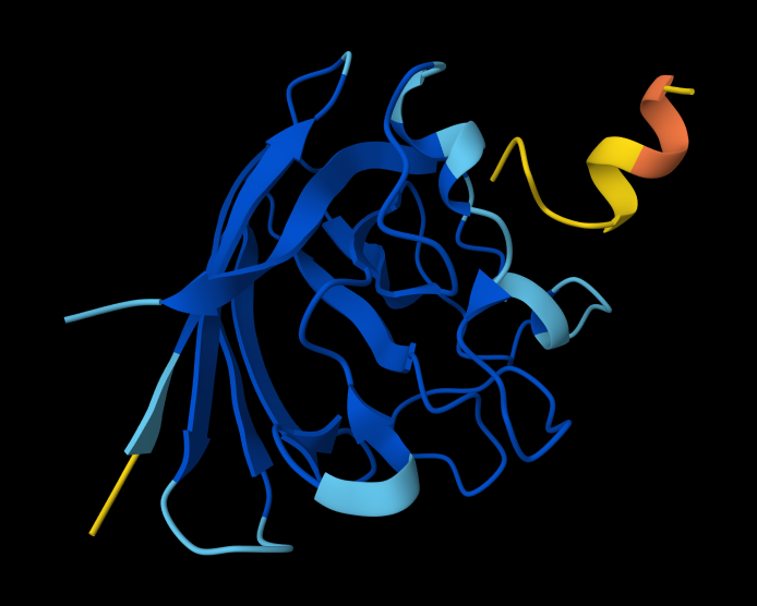 HW5_ProPep2