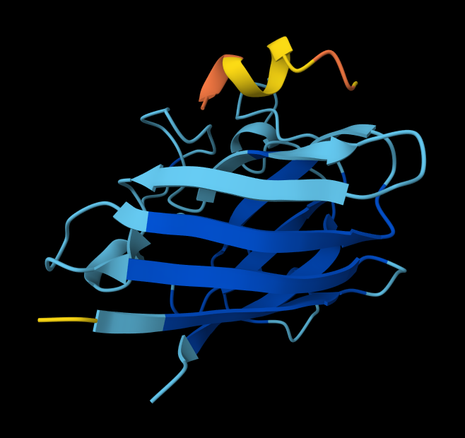 HW5_ProPep3