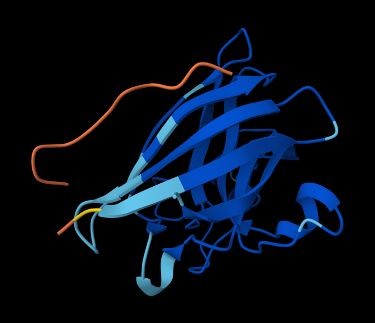 HW5_ProPep3