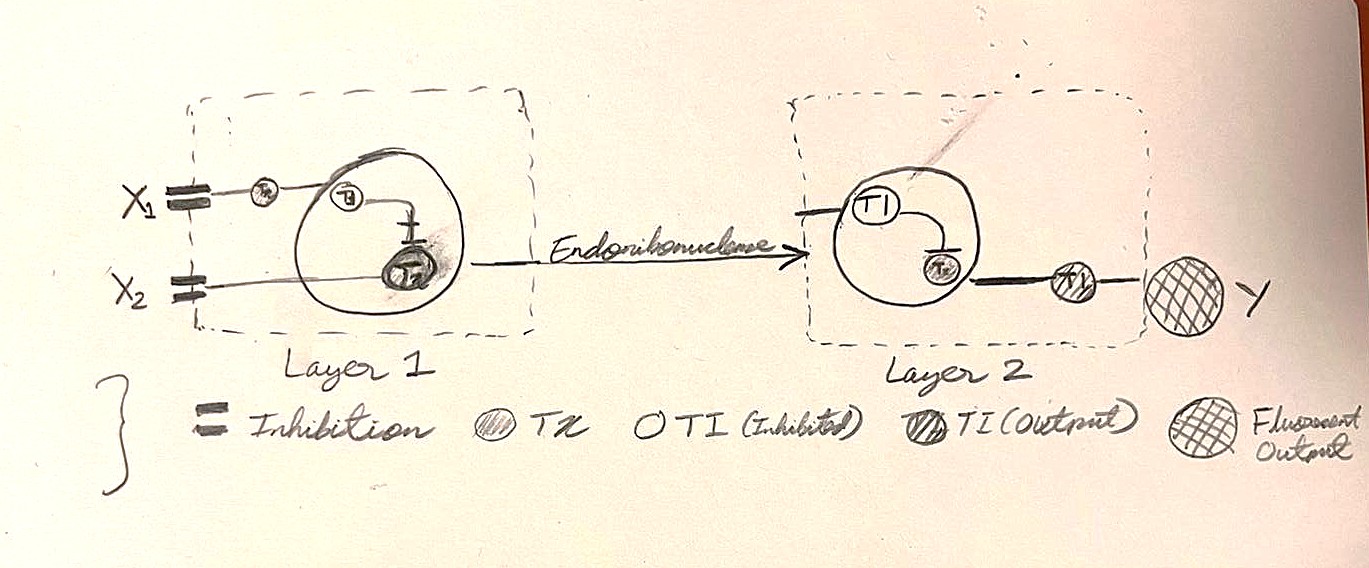 HW7_PaperImage1