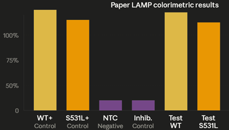 Project_PaperImage_9