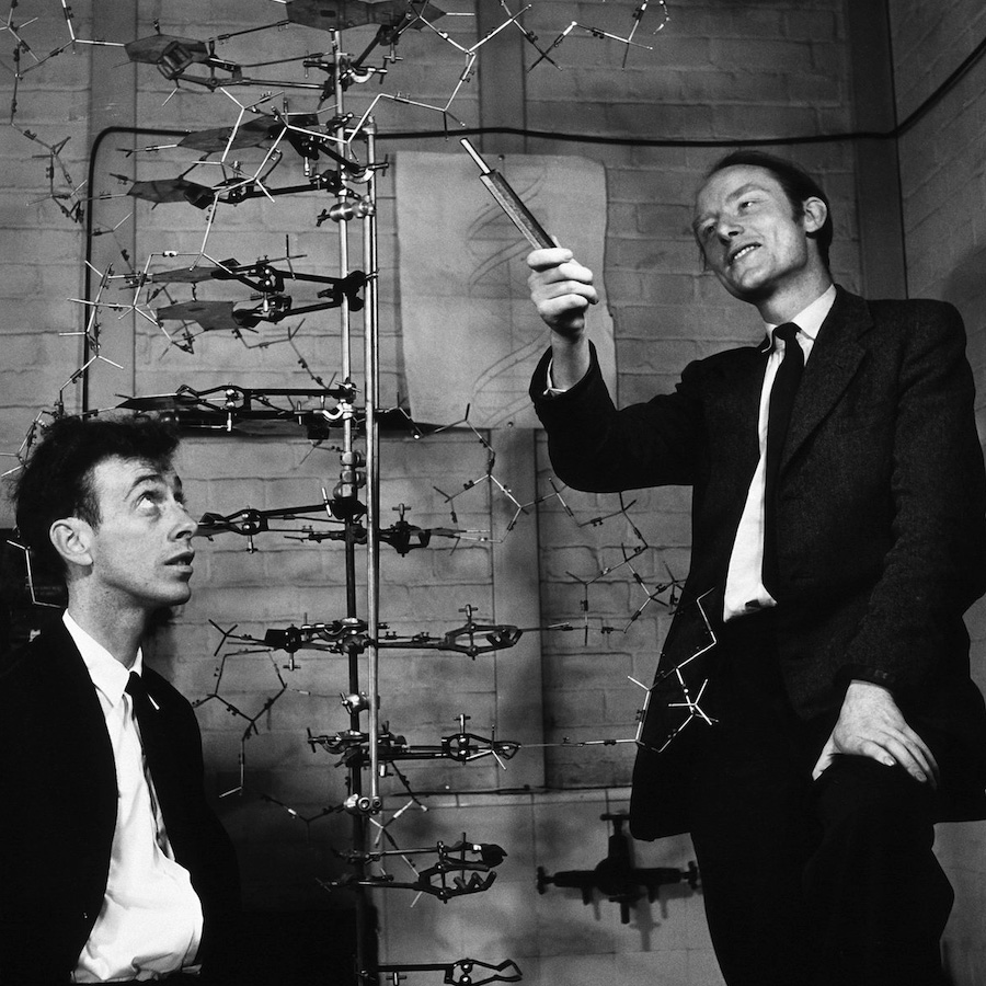 Watson and Crick with their DNA double-helix model
