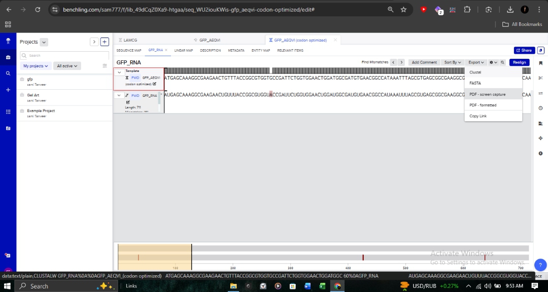 Reverse Translation Sequence View