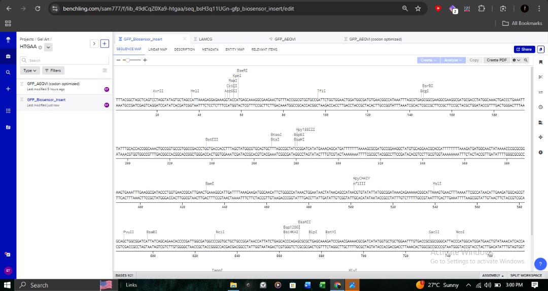 Full HTGAA sequence map with biosensor insert