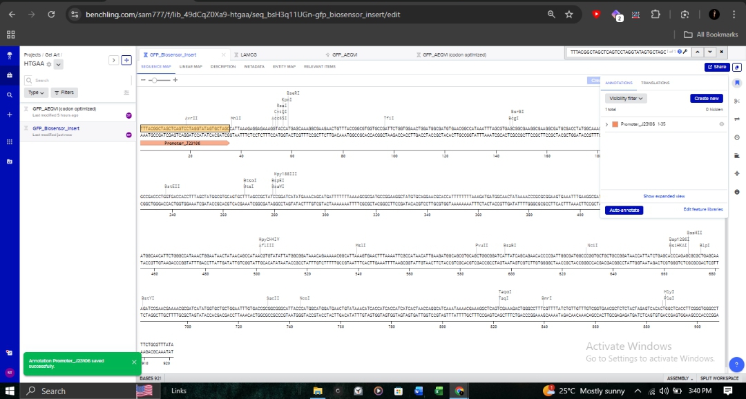 Detailed annotations and restriction sites