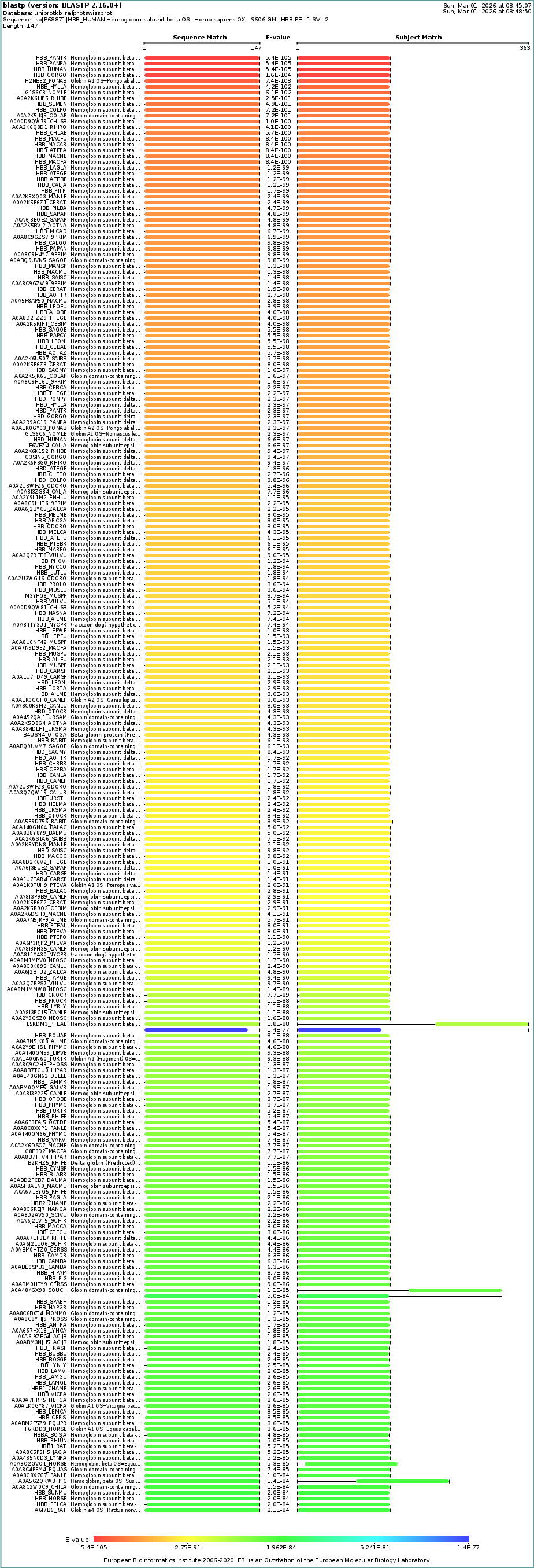 UniProt BLAST Results for β-globin