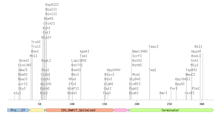 BmK CT Linear Sequence